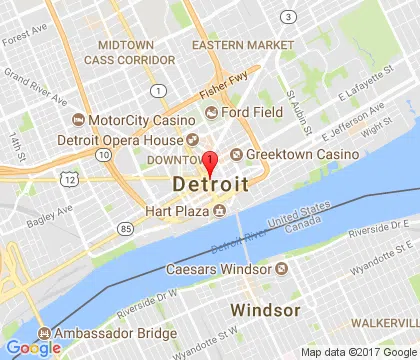 logo-image - detroit-mi
